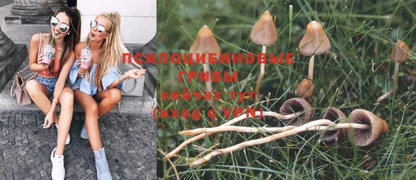 героин Алзамай