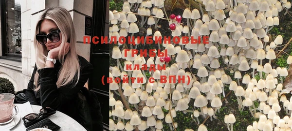 ПСИЛОЦИБИНОВЫЕ ГРИБЫ Алексеевка
