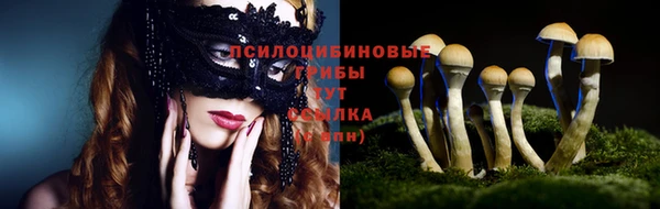 твердый Абаза