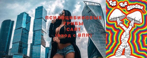 твердый Абаза