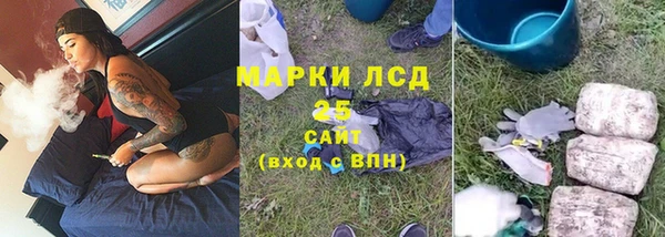 ПСИЛОЦИБИНОВЫЕ ГРИБЫ Алексеевка