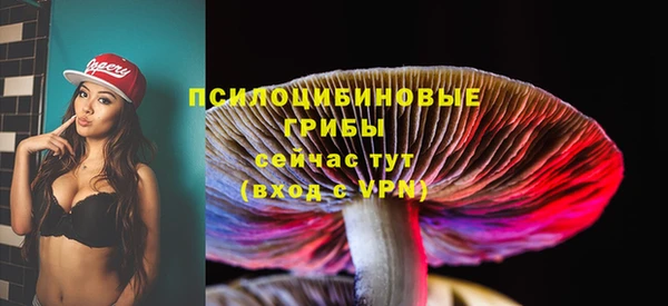 гашик Семёнов