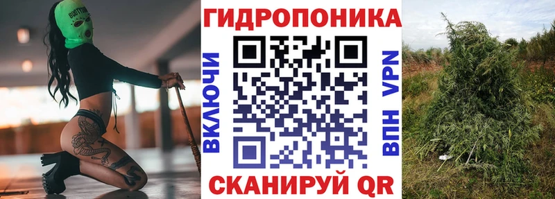 Канабис AK-47 Венёв